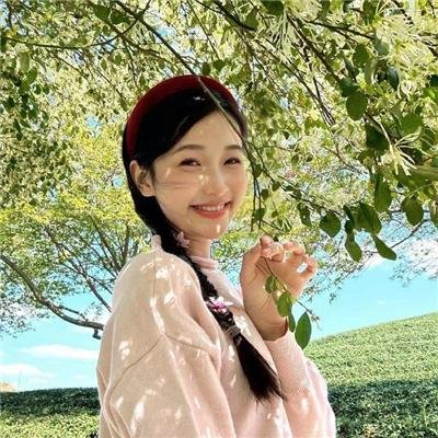 辣手寻芳